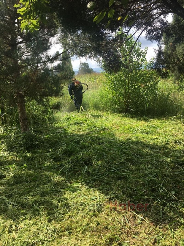 Akyazı Haber duyurmuştu duyarlı vatandaşlar temizledi