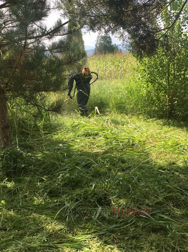 Akyazı Haber duyurmuştu duyarlı vatandaşlar temizledi