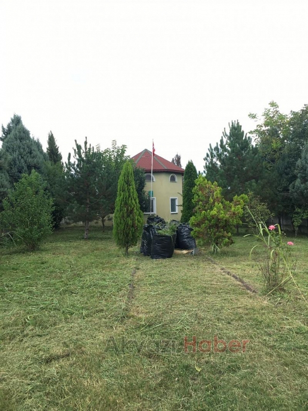 Akyazı Haber duyurmuştu duyarlı vatandaşlar temizledi