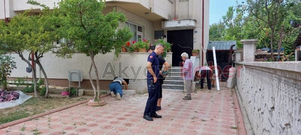 Yılan paniği, didik didik aradılar