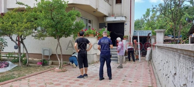 Yılan paniği, didik didik aradılar