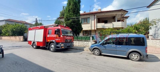 Yılan paniği, didik didik aradılar