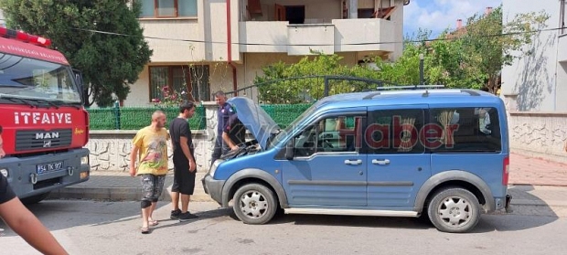 Yılan paniği, didik didik aradılar