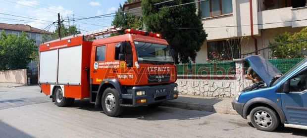 Yılan paniği, didik didik aradılar