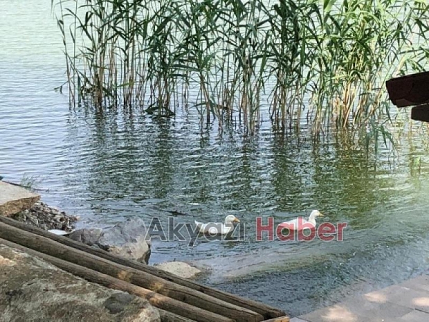 Kuzuluk Gölpark Büyükşehir e devredildi