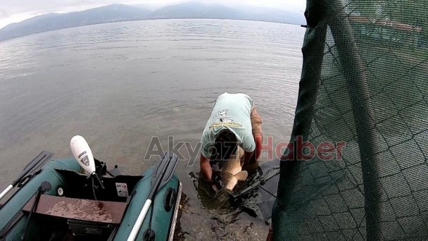 Sapanca Gölü’nde 23 kiloluk dev sazan yakaladı