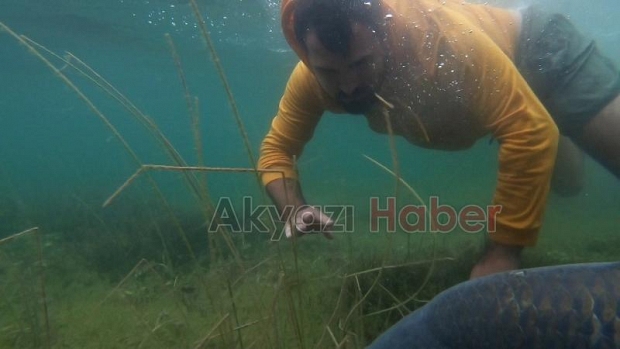 Sapanca Gölü’nde 23 kiloluk dev sazan yakaladı