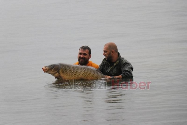 Sapanca Gölü’nde 23 kiloluk dev sazan yakaladı