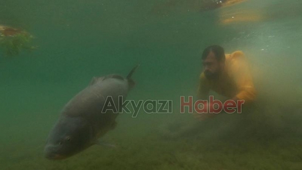Sapanca Gölü’nde 23 kiloluk dev sazan yakaladı