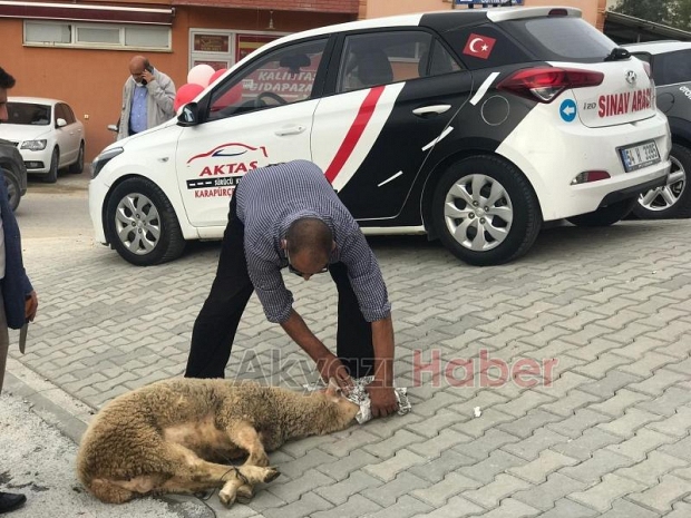 Aktaş Sürücü Kursu Karapürçek'te açıldı