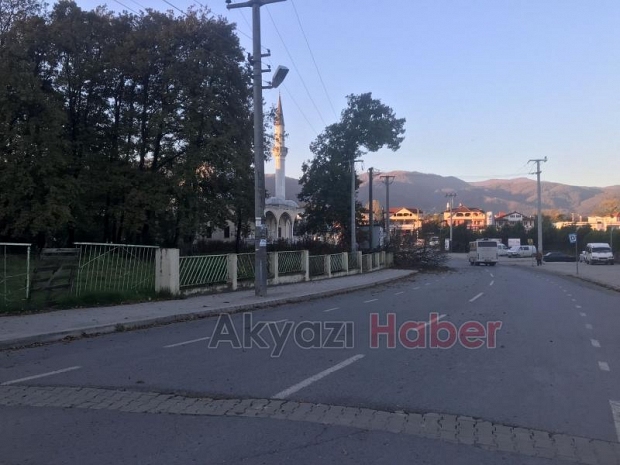 Kuzuluk'ta rüzgar ağacı yıktı