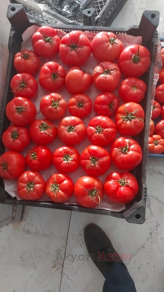 Efecan Tanzim Satışta her gün en ucuz fiyat