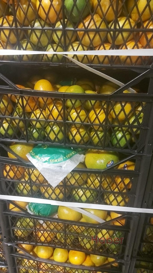 Efecan Tanzim Satışta her gün en ucuz fiyat