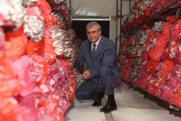 Sakarya Büyükşehir 20 ton istiridye mantarı üretimi hedefliyor