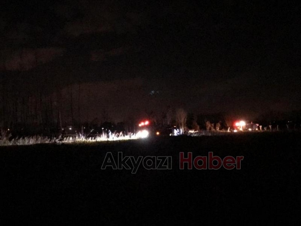Akyazı'da anız ateşi ağaçları kül edecekti