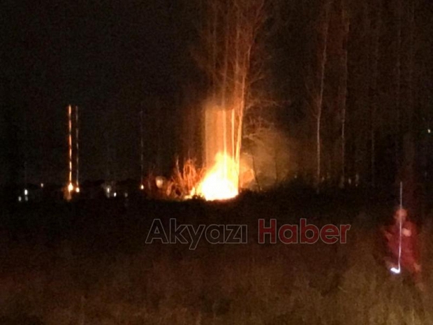 Akyazı'da anız ateşi ağaçları kül edecekti