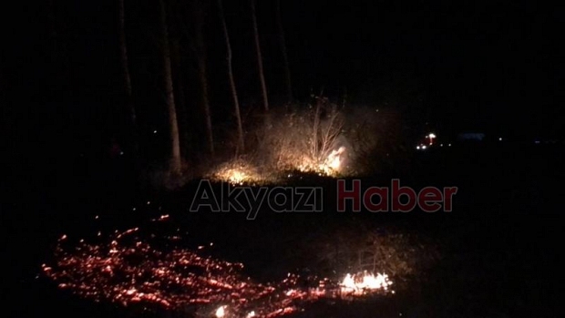 Akyazı'da anız ateşi ağaçları kül edecekti
