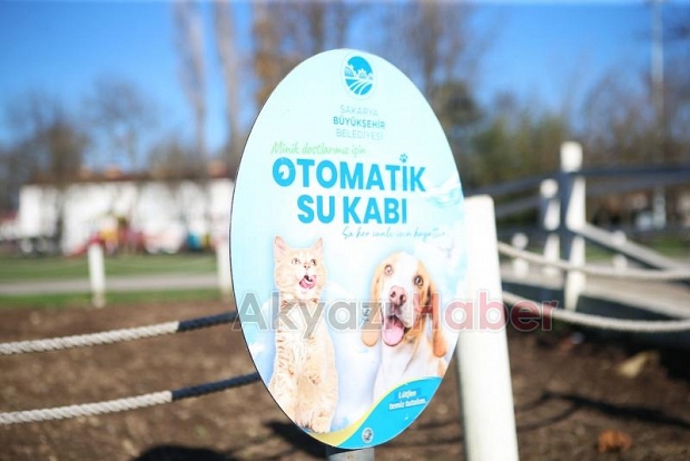 Büyükşehir can dostların hep yanında