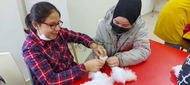 Akyazı Nilüfer Hatun MTAL'den örnek proje