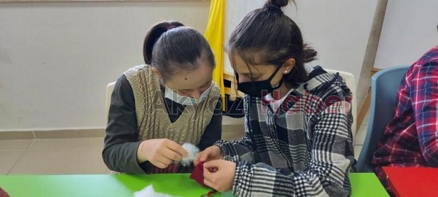 Akyazı Nilüfer Hatun MTAL'den örnek proje