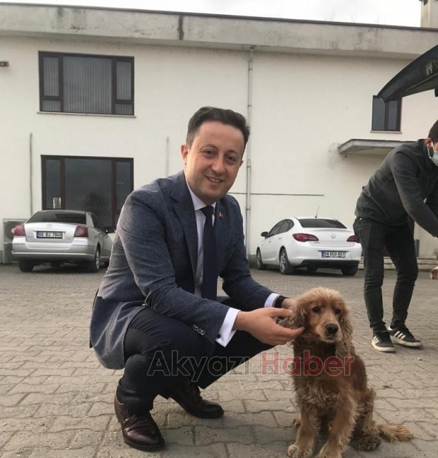 Evcil hayvanlara mikroçip takılıyor