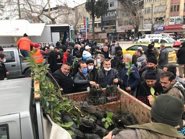  Orman İşletme 1200 fidan dağıttı