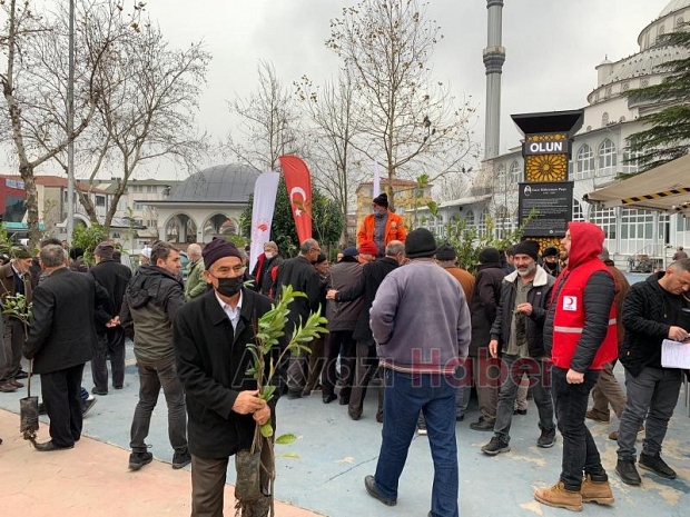 Orman İşletme 1200 fidan dağıttı
