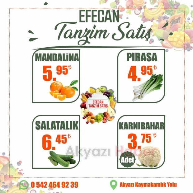 Sağlıklı Beslenmenin Adresi Efecan Tanzim Satış