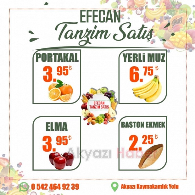 Sağlıklı Yaşamın Anahtarı Efecan Tanzim Satış