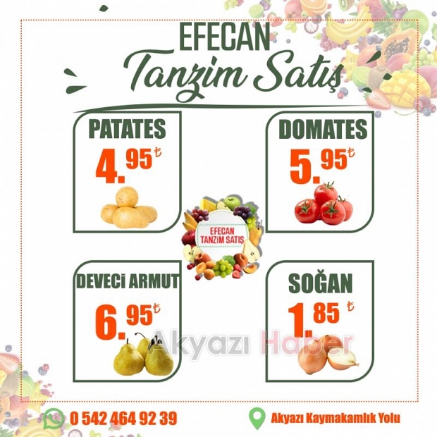 Sağlıklı Yaşamın Anahtarı Efecan Tanzim Satış