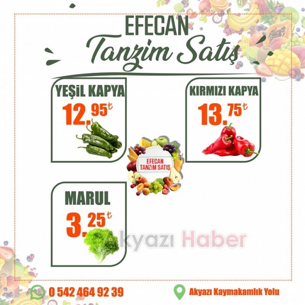 Sağlıklı Yaşamın Anahtarı Efecan Tanzim Satış