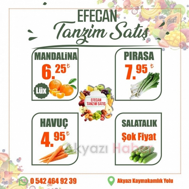 Sağlıklı Yaşamın Anahtarı Efecan Tanzim Satış