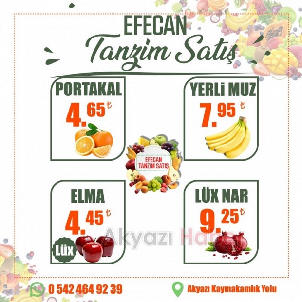 Sağlıklı Yaşamın Anahtarı Efecan Tanzim Satış