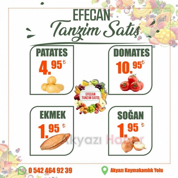 Sağlıklı Yaşamın Anahtarı Efecan Tanzim Satış