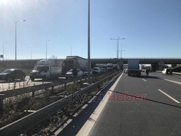D-100'de tomruk yüklü kamyon devrildi