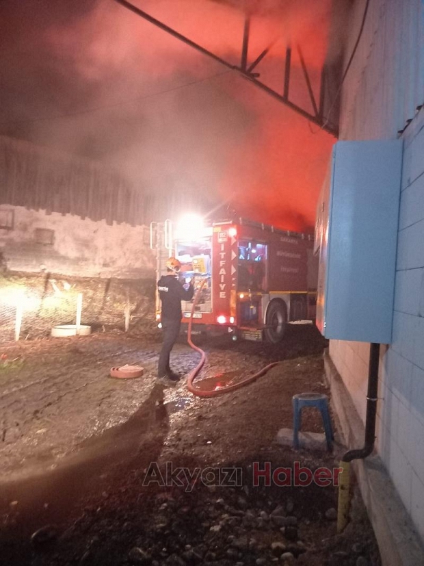 Akyazı'da yangın