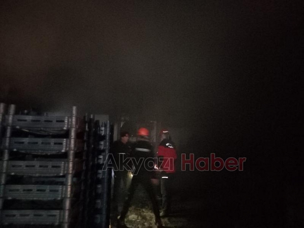 Akyazı'da yangın