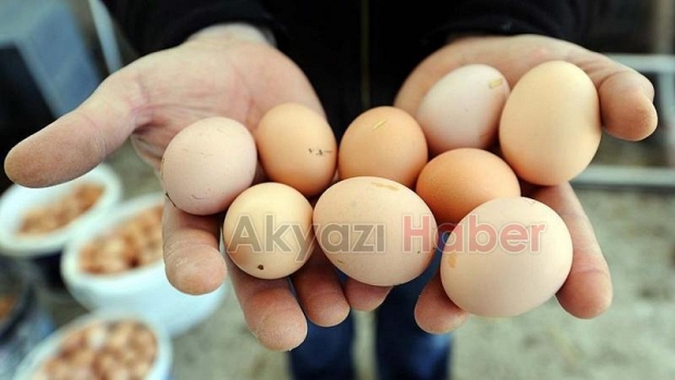 Yumurta fiyatları için müfettiş görevlendirildi