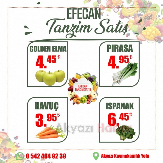 Efecan Tanzim Satışta Her Gün En Ucuz Fiyat