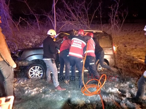Hafif ticari araç şarampole uçtu