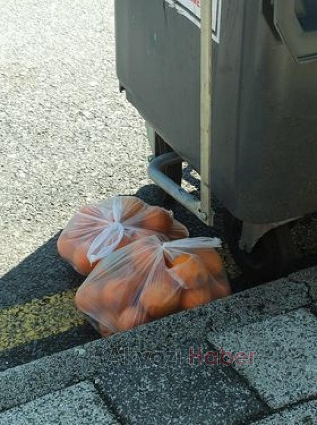 Sebze ve meyvelerin çöpe atılması tepki çekti