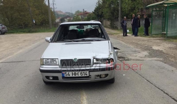 Otomobil ineğe çarptı: 2 yaralı