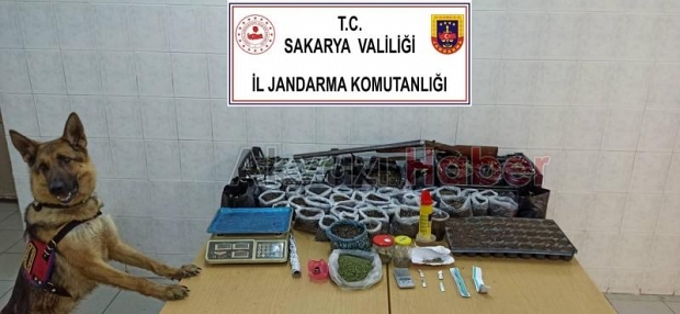 jandarmadan uyuşturucu operasyonu