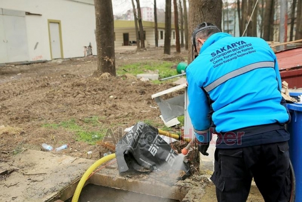 Sakarya kısıtlamasız bir yaza hazırlanıyor