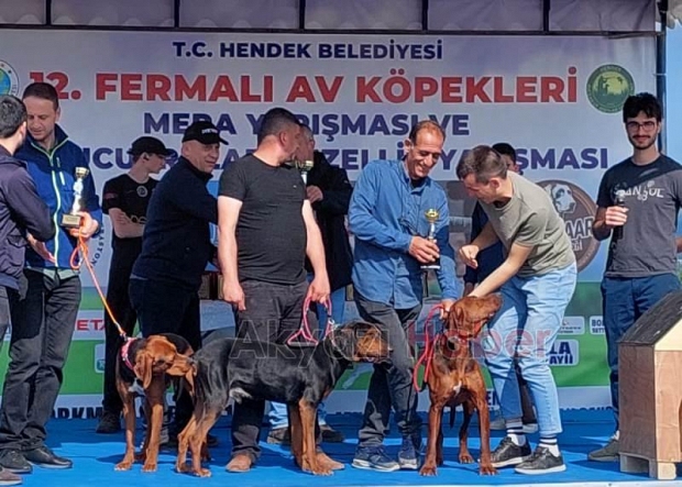 12. Fermalı Av Köpekleri Mera Yarışması