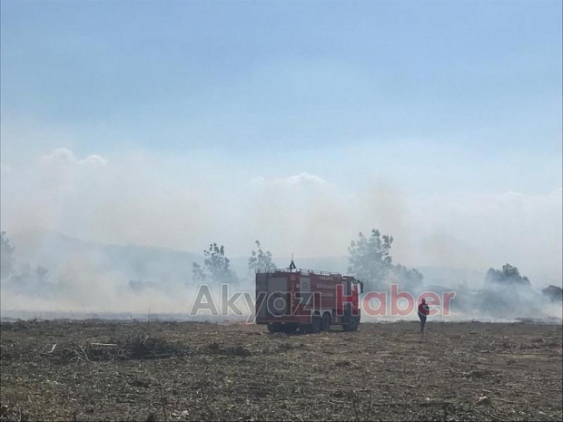 Akyazı'da anız yangını