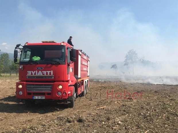 Akyazı'da anız yangını