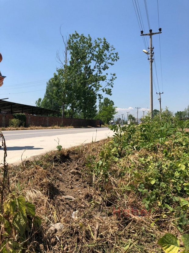 Akyazı'da Otomobil Takla Attı