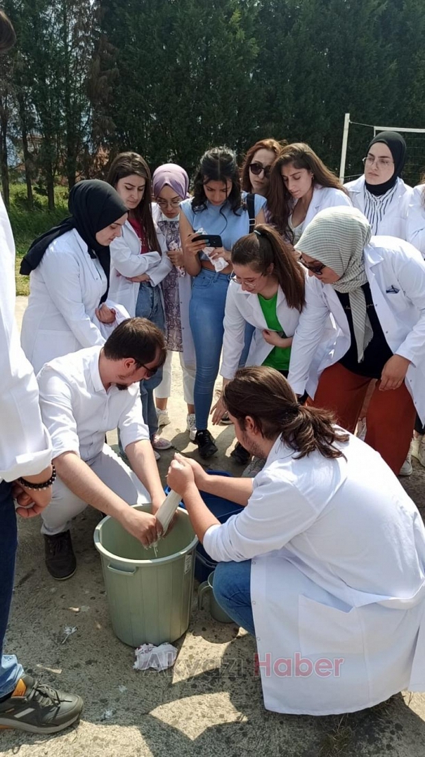 Akyazı Sağlık Bilimleri Fakültesi'nde alçı etkinliği