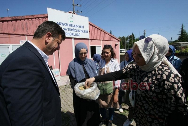 Kara Mürver projesinde 3 bin 465 fide dağıtıldı